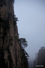 DSC05351.JPG