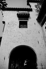 DSC05782.JPG