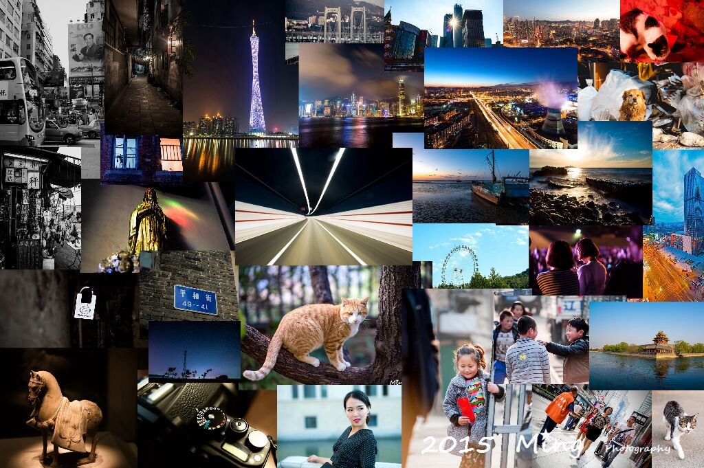 以此纪念过去的2015年