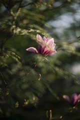 _DSC6995-1