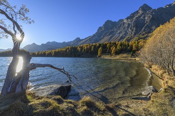 DSC_1024-1