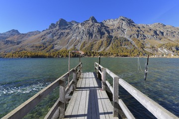 _DSC7213-1