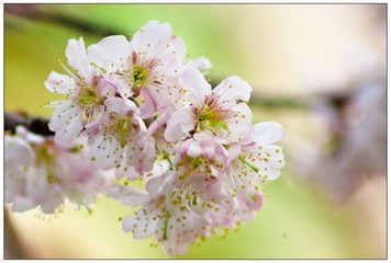 IMGP6377-1.jpg