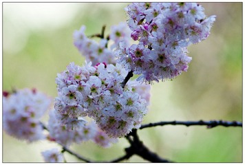 IMGP6384-1.jpg