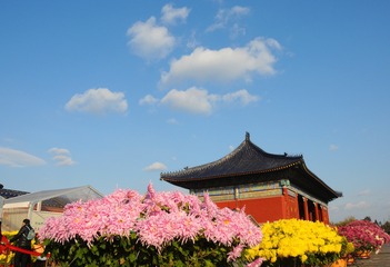IMGP1152-1-3