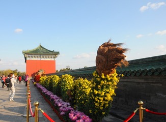 IMGP4896-1