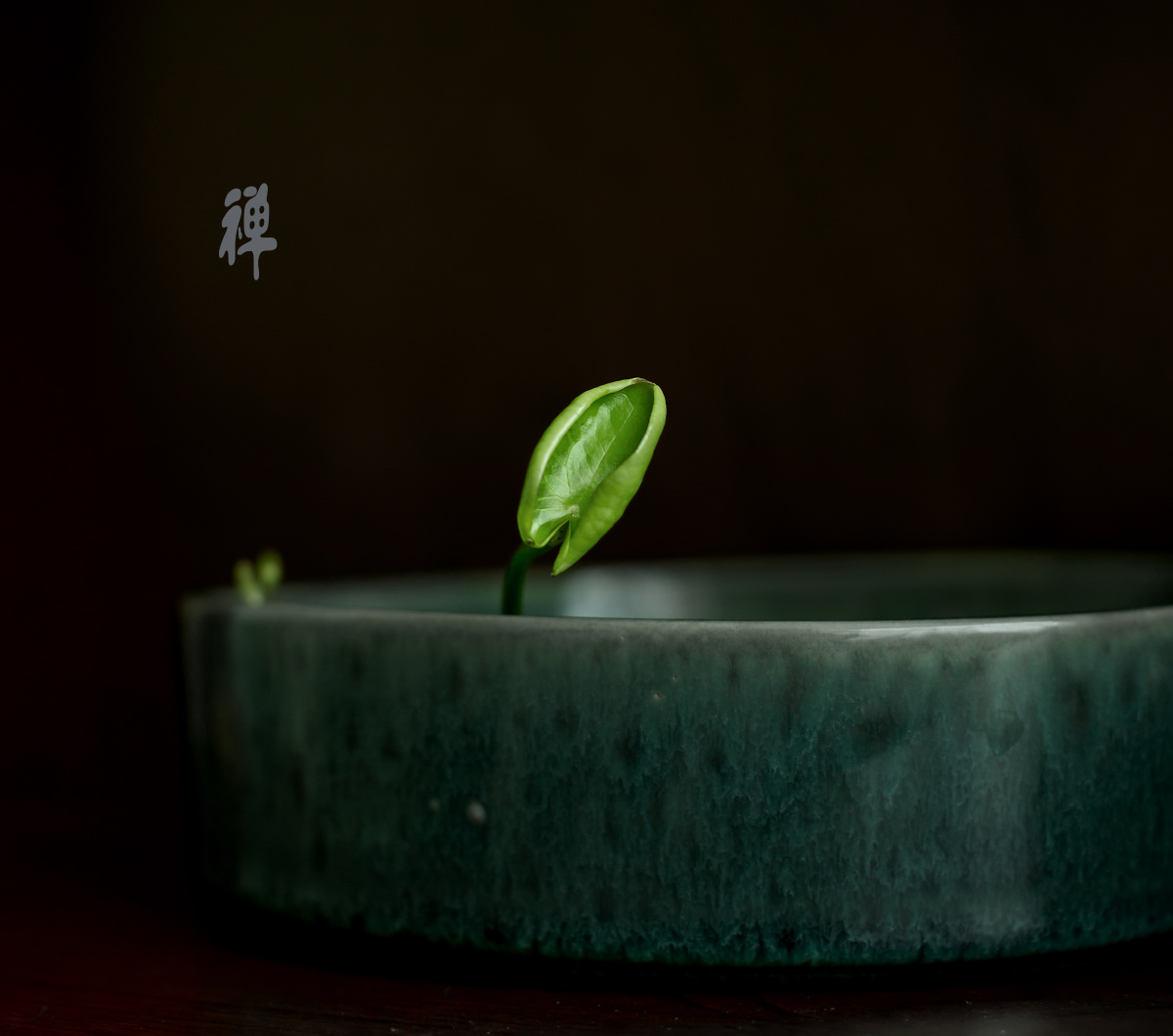 禅- 摄影飞 - 图虫