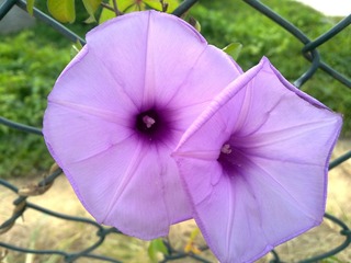 201110301225