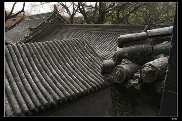 凝视