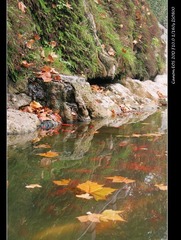 禹王池