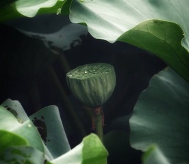 567073