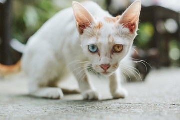 情若真   不必相见恨晚 见到一眼再不慨叹