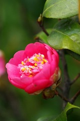 踏青喽 (1)