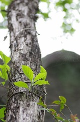 钱江源 (3)