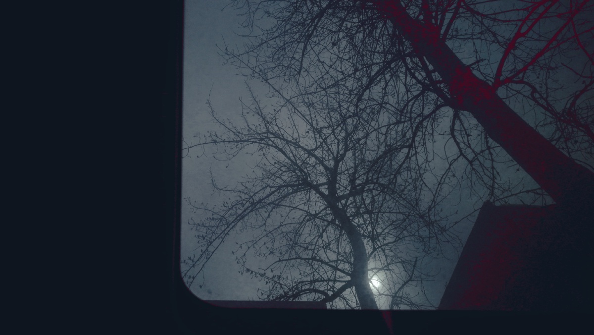 黑暗里的光,都以为是珍贵的.