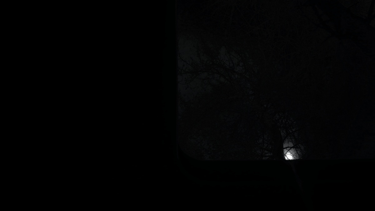 黑暗里的光,都以为是珍贵的.