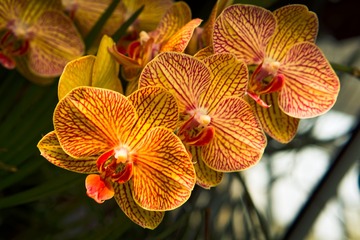 DSC07522_DxO