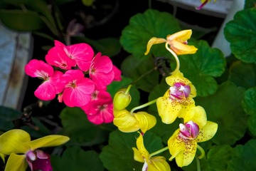 DSC07513_DxO-1
