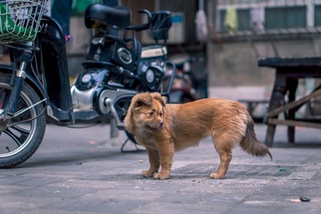 DSC00428DNG
