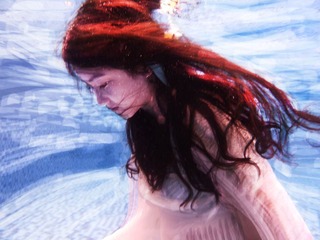 DPP_2011