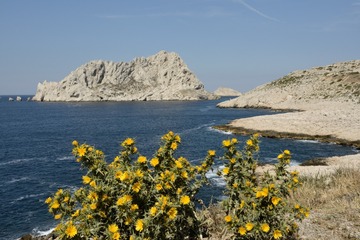 MOH_4123.jpg