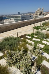 MOH_4152.jpg
