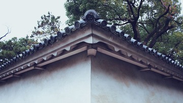 MOH-1221752.JPG
