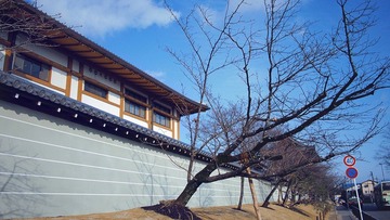 MOH-1221807.JPG