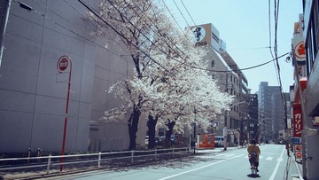 MOH-4082295.JPG