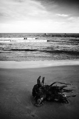 DPP_0412.JPG