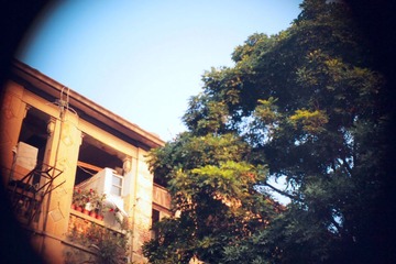 DPP_1879
