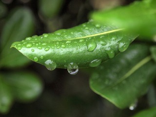 继续溜达。