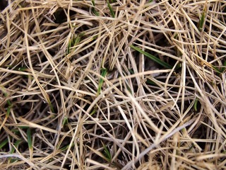 P3110551