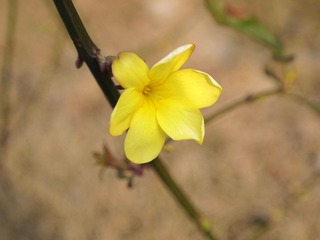 P3110554