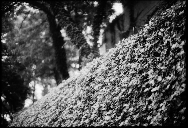 Untitled-7<br />
