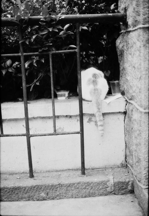 Untitled-14<br />
