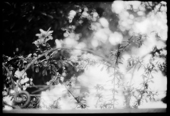 Untitled-6-2