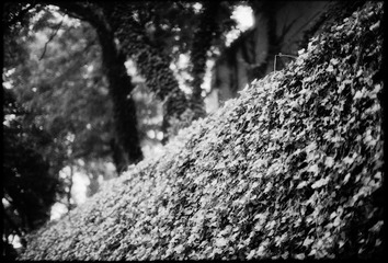 Untitled-7