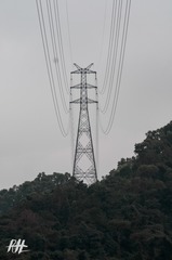 1071641