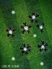 DJI_0023