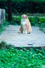 20120323-IMG_0697.jpg
