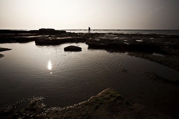 IMG_5031.jpg
