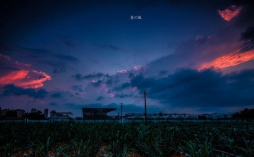 IMG_1035.jpg