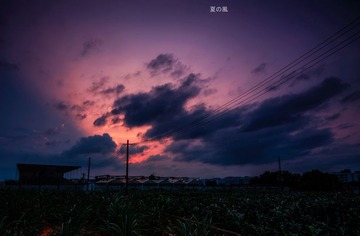 IMG_0992.jpg