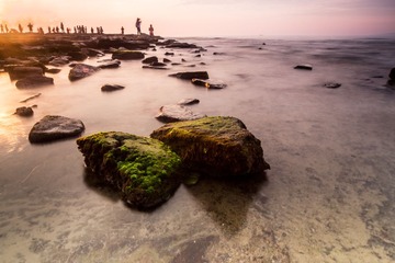 IMG_2042.jpg
