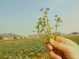 DSCF7820_