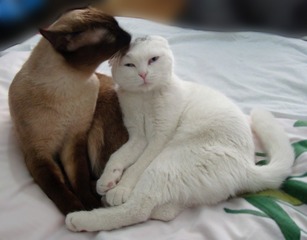 温馨时刻.