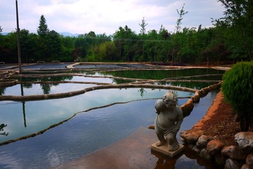 P1010595