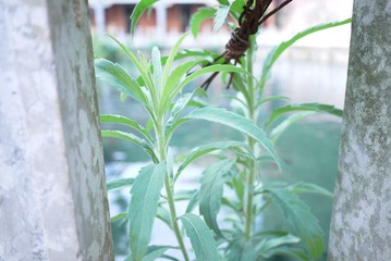 P1010633