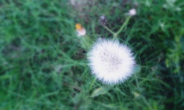 IMG_20150303_053903